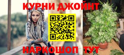 спиды Моздок