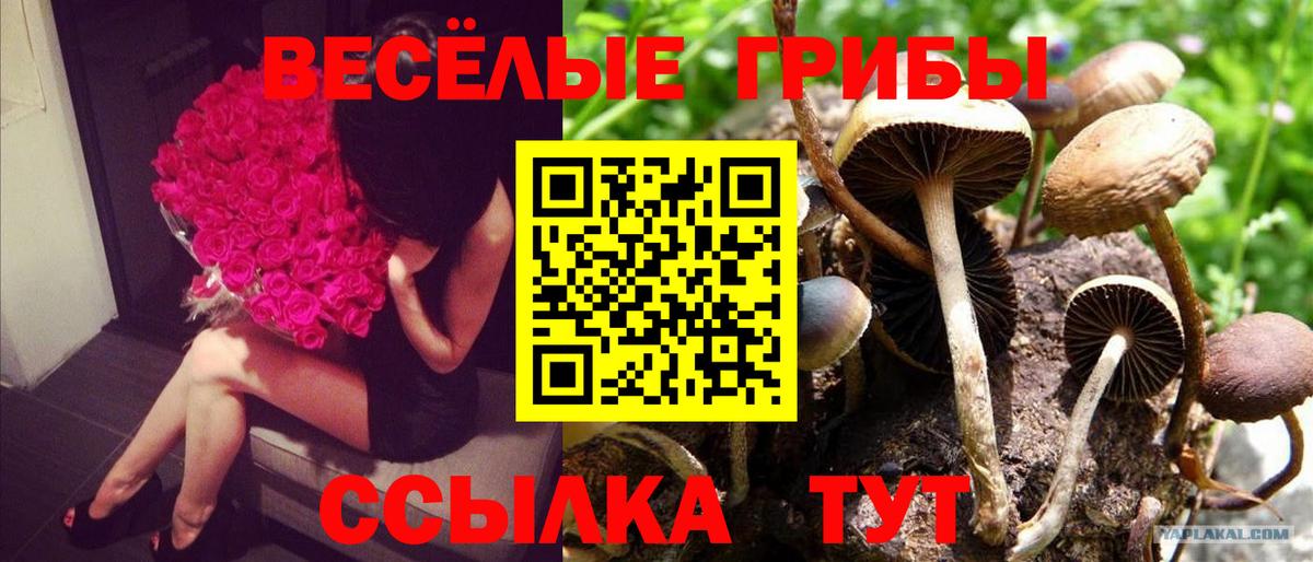 Галлюциногенные грибы мицелий Рузаевка