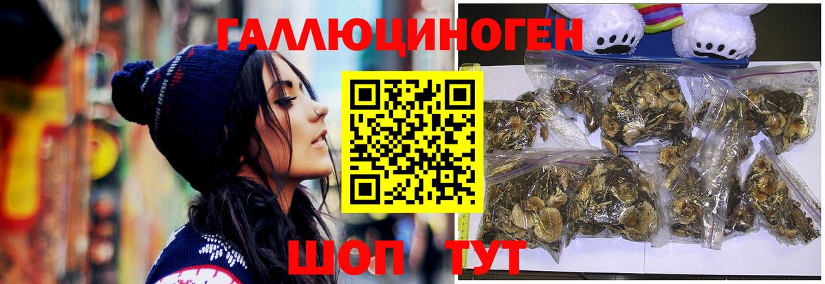 Галлюциногенные грибы мицелий  Вход с VPN  Рузаевка  Псилоцибиновые грибы GOLDEN TEACHER 