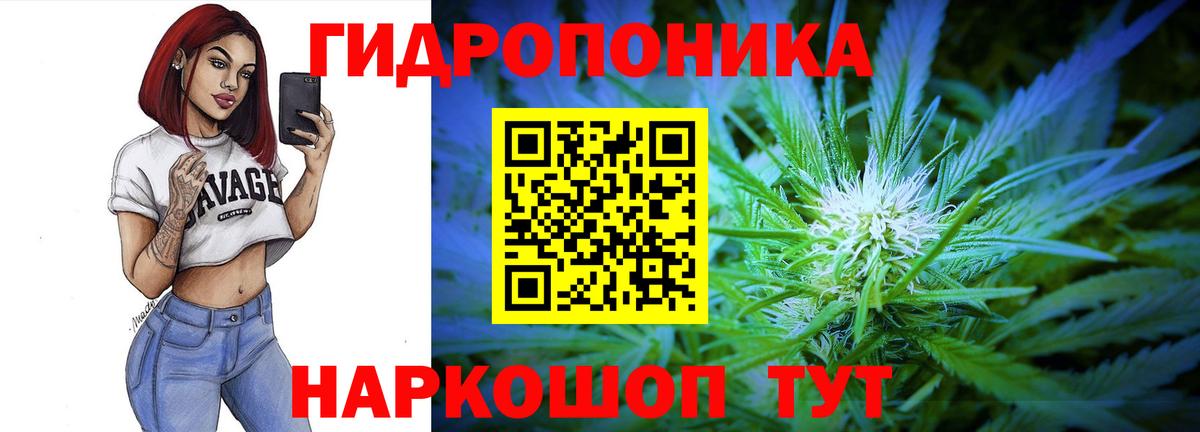 Каннабис OG Kush  Марихуана THC 21%  Вход с VPN  Рузаевка 